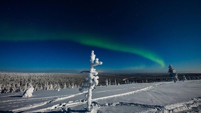 Hunting Northern Lights With Husky - Important Information for Participants