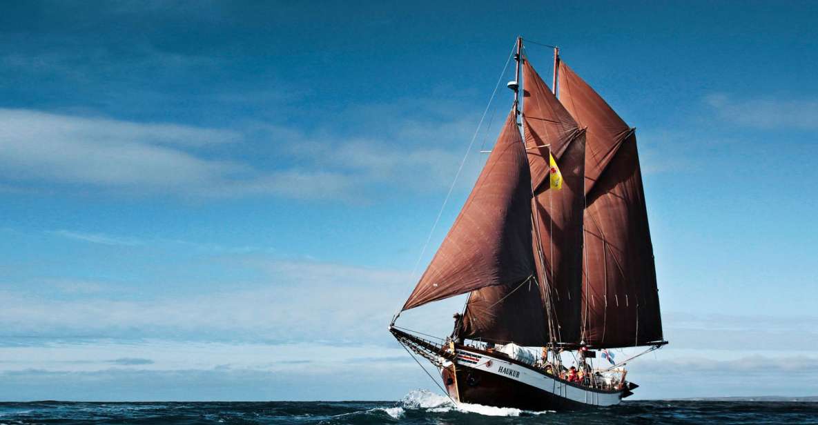 Húsavik: Whale Watching by Traditional Wooden Sailing Ship - Whats Included