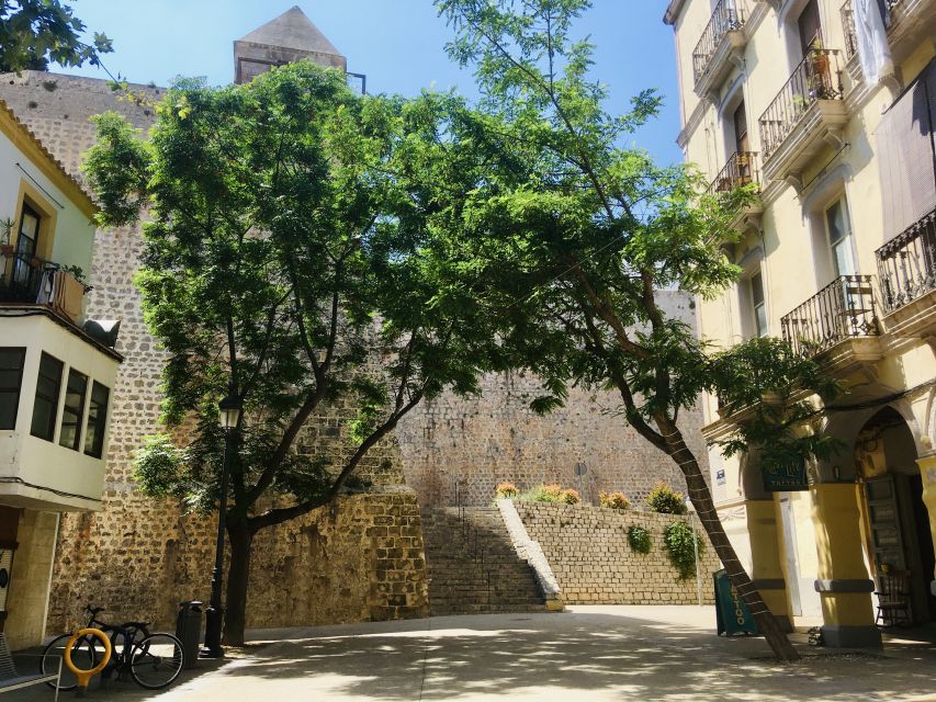 Ibiza: Old Town Guided Walking Tour - Exploring Dalt Vila Neighborhood