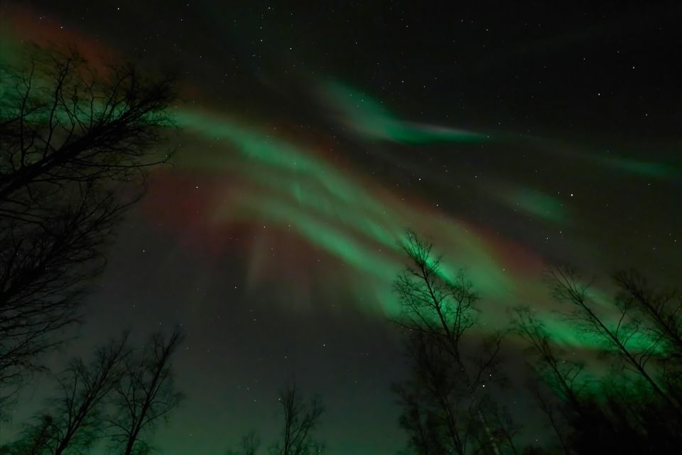 Ii: Snowmobile Sleigh Trip on Frozen Sea Under Starlit Sky - Highlights and Experiences