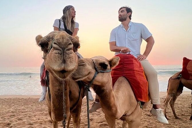 Inclusive Beach Camel Ride, Cap Spartel, Hercules & Full Dinner - Meeting and Pickup