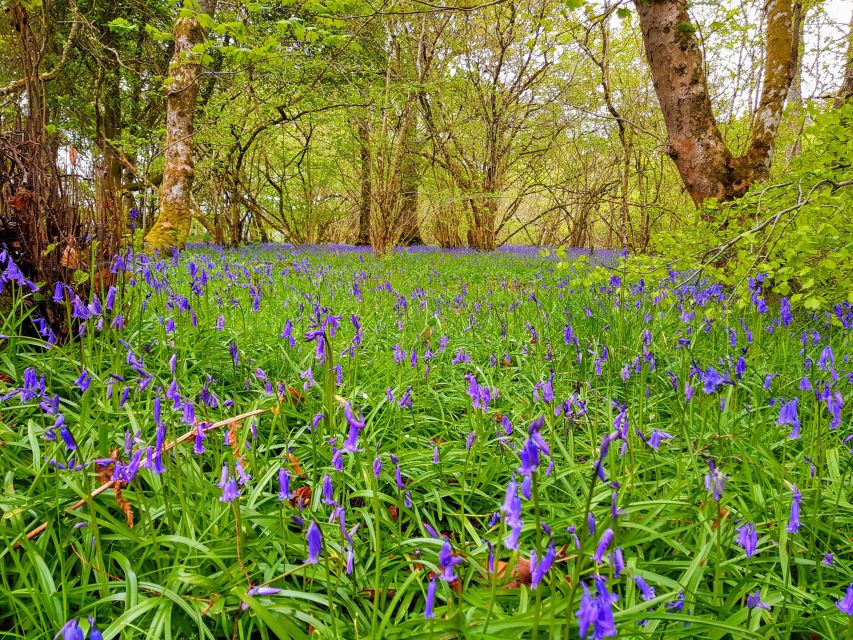 Inverness: Private Secret Hike to the Shores of Loch Ness - Visiting Foyers Waterfall