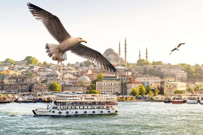 Istanbul Cruise to the Princes Islands ( Full Day Tour ) - Meeting and Pickup