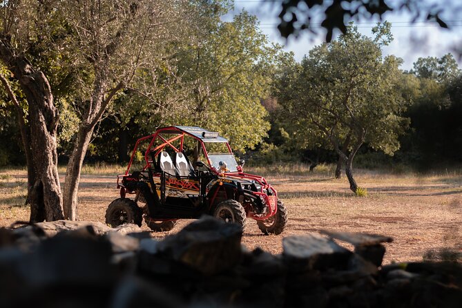 Istra Buggy Tours - Fazana - Additional Tour Information