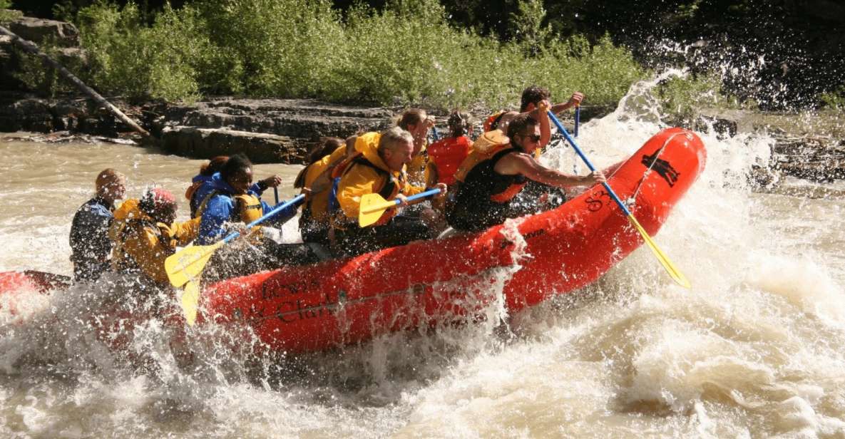 Jackson Hole: Snake River Whitewater Rafting Tour - Experience Highlights