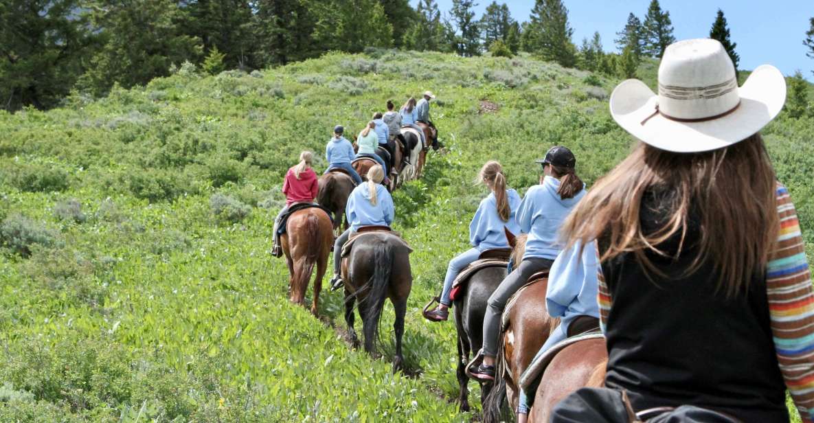 Jackson Signature 1/2 Day Ride Horseback Tour With Lunch - Route Options