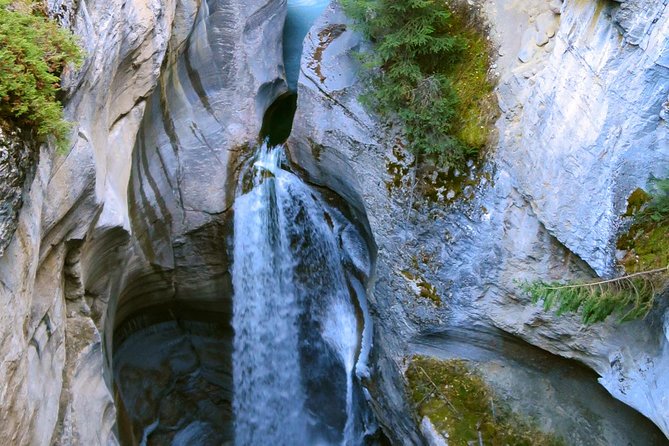 Jasper Wildlife and Waterfalls Tour With Maligne Lake Hike - Tour Logistics and Meeting Point