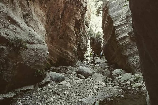 Jeep Safari to Akamas National Park: Avakas Gorge Tour From Paphos - Admiring the Edro Shipwreck