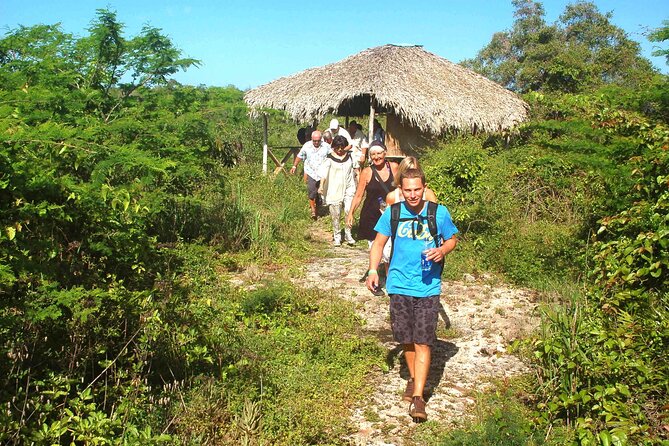 Jungle Eco Tour in Bayahibe - Pickup and Meeting