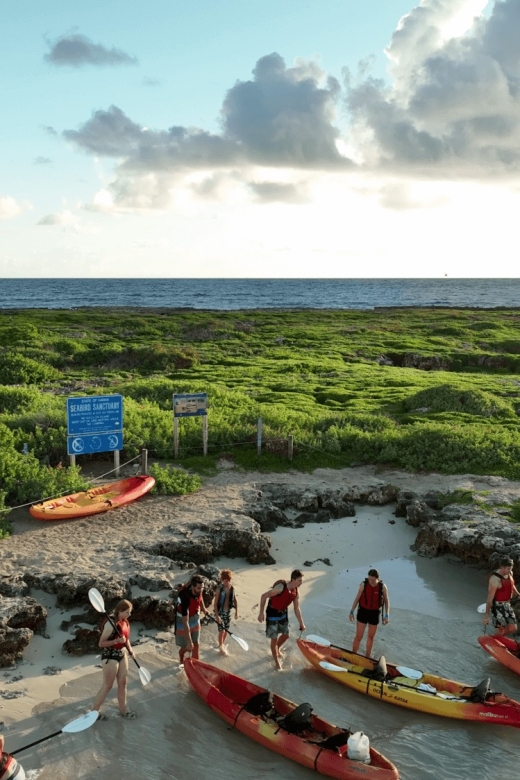 Kailua, Oahu: Popoia Island & Kailua Bay Guided Kayak Tour - Tandem Kayak Features