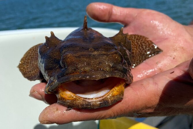 Kayak Tours With Amazing Caves, Sea Life and Marine Biologist . - Group Size and Accessibility