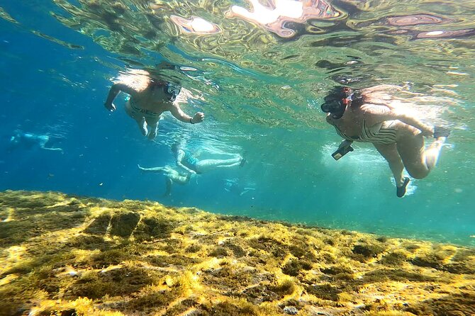 Kayaking Adventure Route With Snorkeling in Mogan Caves - Exploring Mogans Diverse Ecosystem
