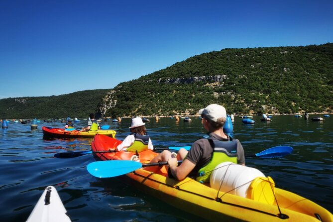 Kayaking Experience in Lim Bay Sea in The Croatian Fjord - Wildlife and Marine Life