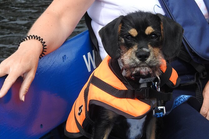 Kilkenny Boat Trip - Meeting Point and Accessibility