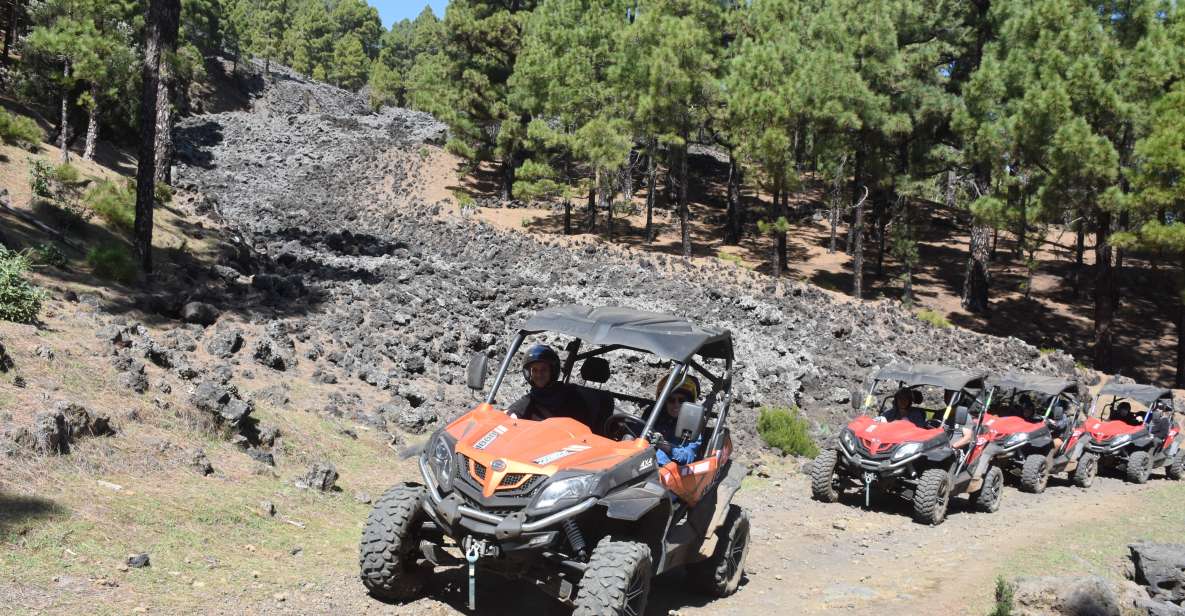 La Palma: Volcano Route Buggy Tour - Exploring Cumbre Vieja Natural Park