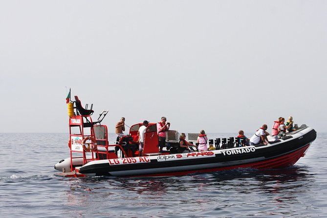Lagos - Benagil Sea Cave Tour Seafaris - Boat and Safety Details