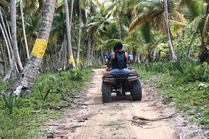 Laguna Beach Buggies Adventure - Participant Eligibility