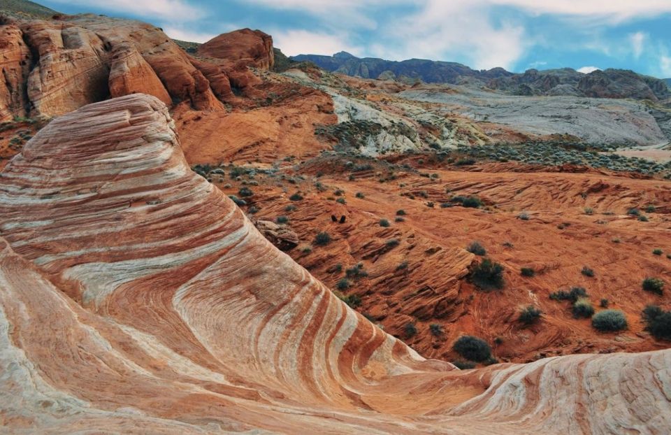 Las Vegas: Valley Of Fire State Park Tour - Discovering Desert Plants and Cacti