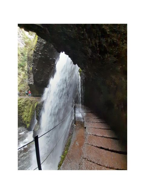 Levada Nova - Taken From the Mill by Overland Madeira - Inclusions for the Tour