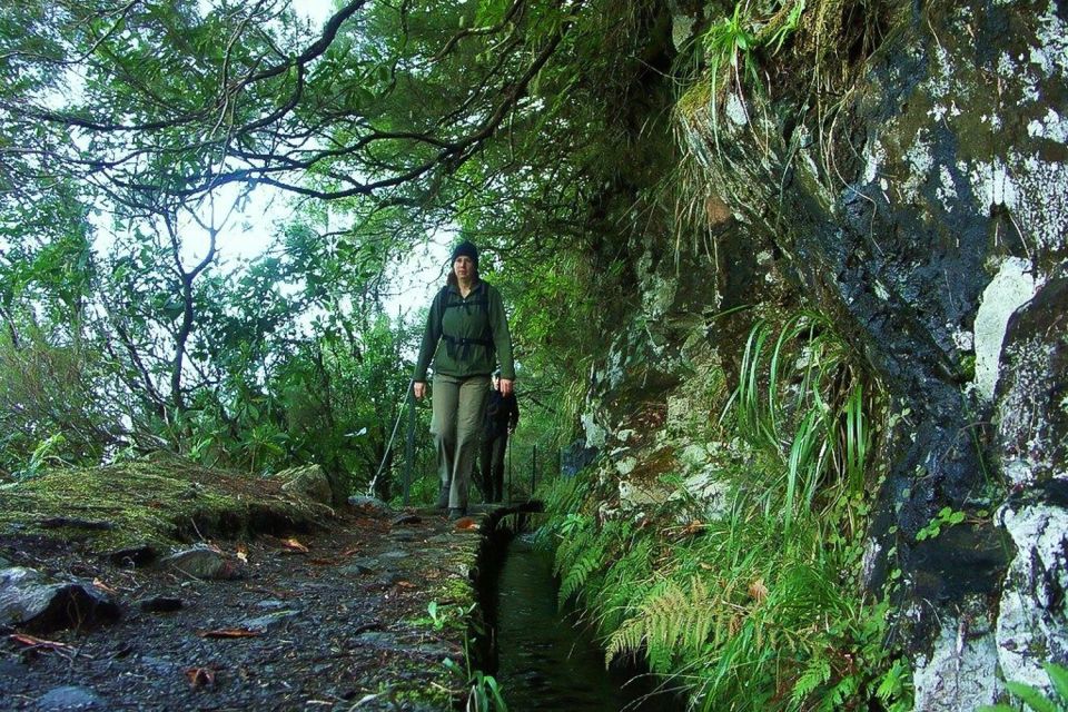 Levada Walk and Caldeirao Verde Waterfalls: Madeira - Language Options