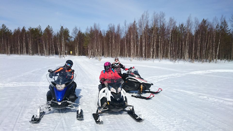 Levi: Winter Highlights Family Day With Snowmobile Safari - Husky Sleigh Ride Experience