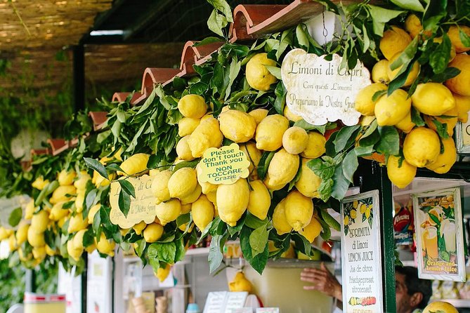 Li Galli Islands and Capri Small Group Boat Tour From Amalfi - Meeting and Drop-off