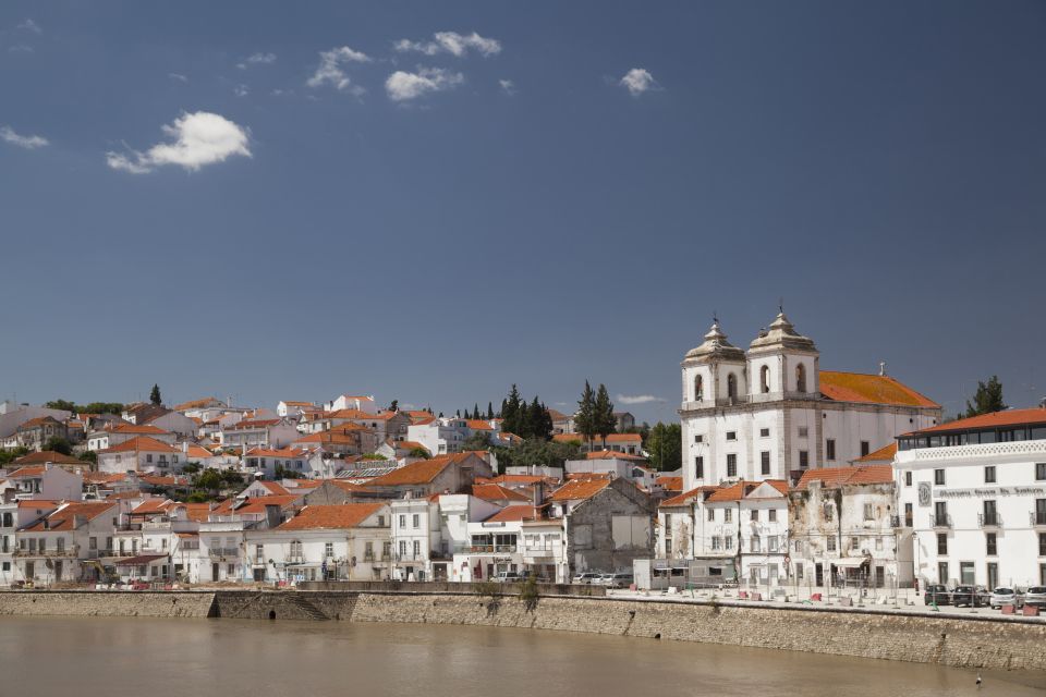 Lisbon: Day Tour of Azeit??o, Arr??bida, Set??bal, Palmela - Discovering Setúbal and Its Charm