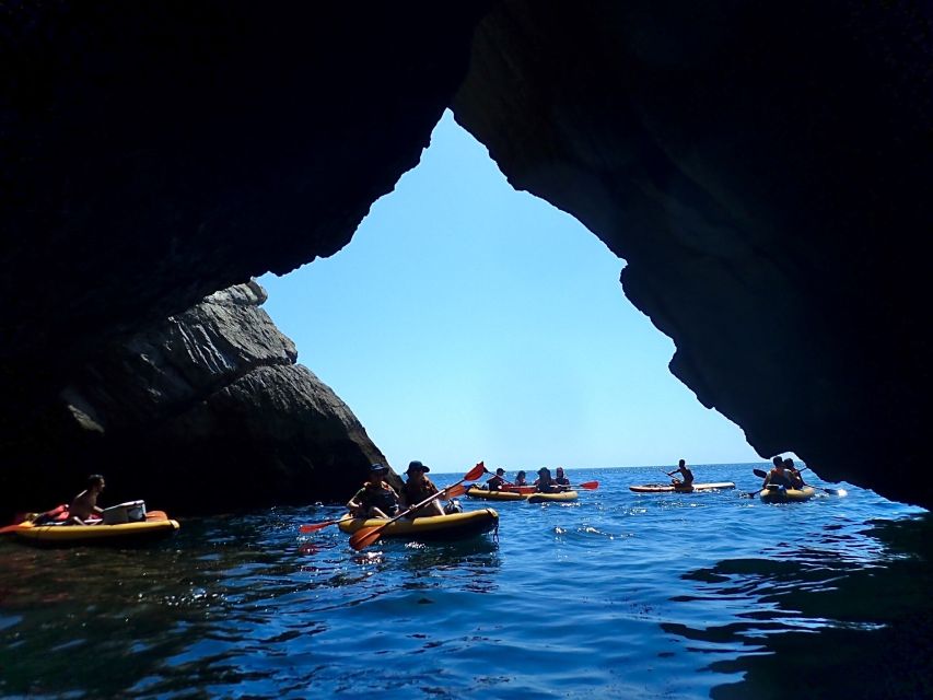 Lisbon: Full-Day Kayak Tour With Picnic and Transfer - Inclusions