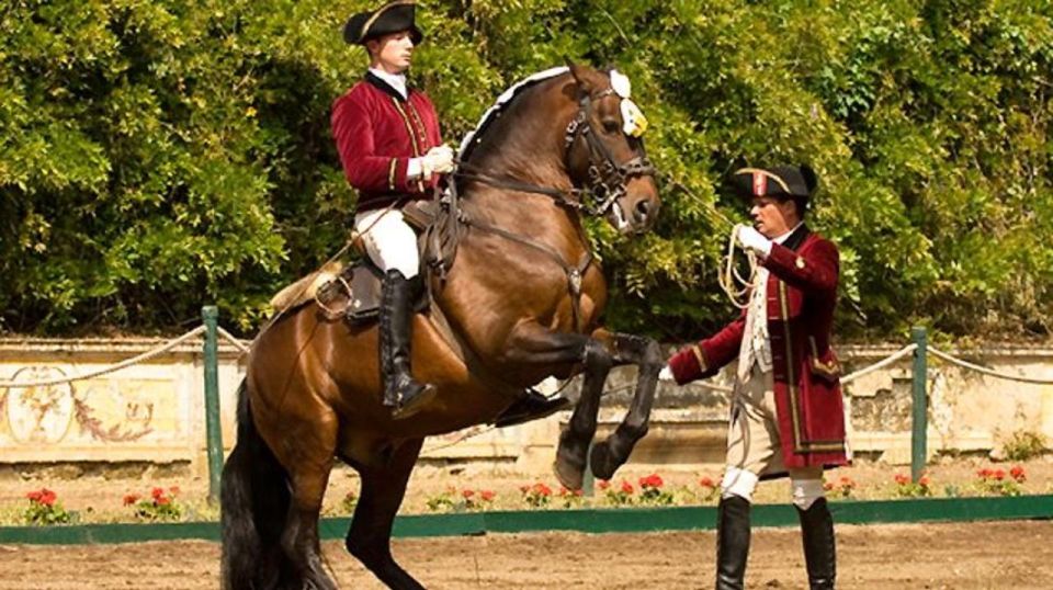 Lisbon: Morning of Equestrian Art With Lusitano Horses - Accessibility and Amenities