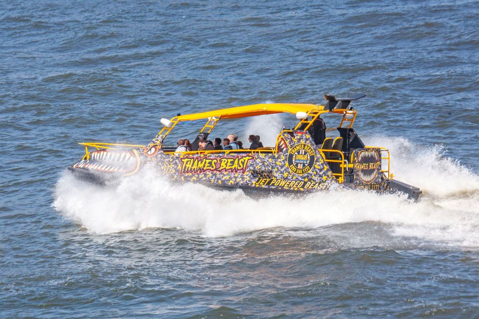 London: 40-Minute TOWER BEAST RIDE - Thames Speedboat Tour - Inclusions and Amenities