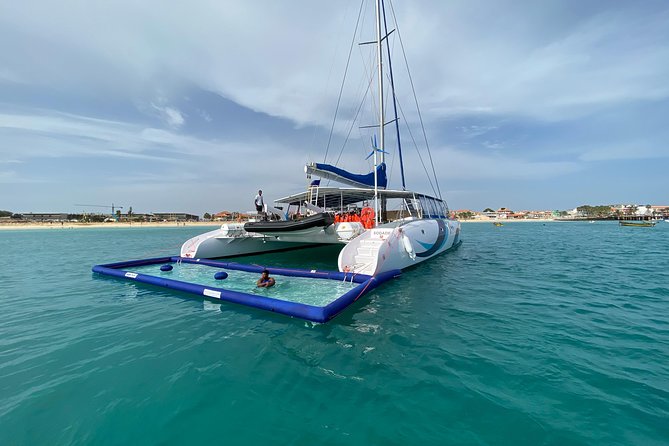 Lounge Catamaran SODADE Half-Day - Marine Life Observation