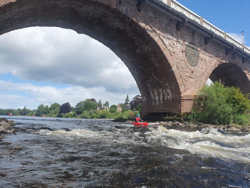 Luncarty to Willowgate Kayak Tour - Tour Description