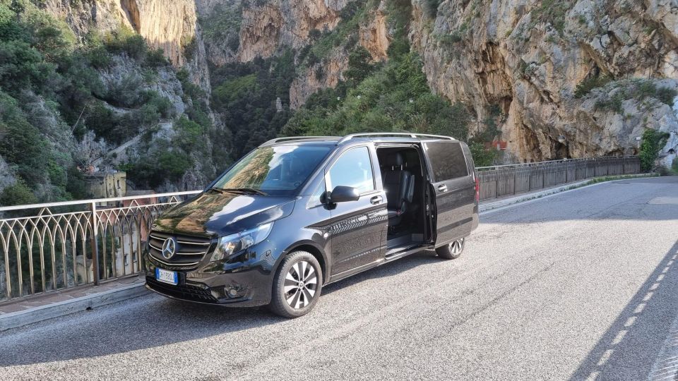 Luxury Van Transfers: Rome Airport - Driver Qualifications