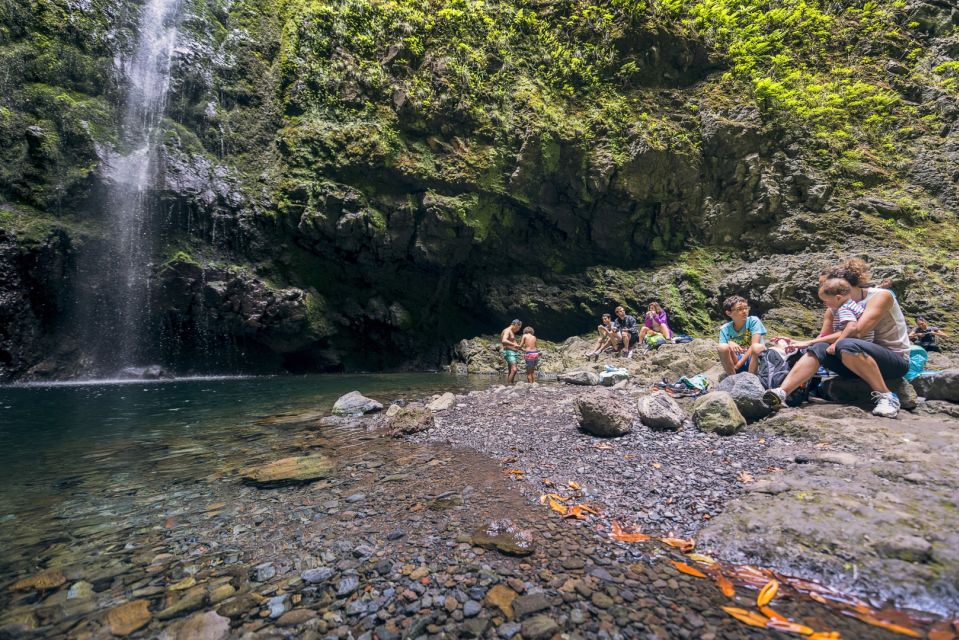 Madeira: Full-Day Laurel Forest Guided Walking Tour - Itinerary and Route