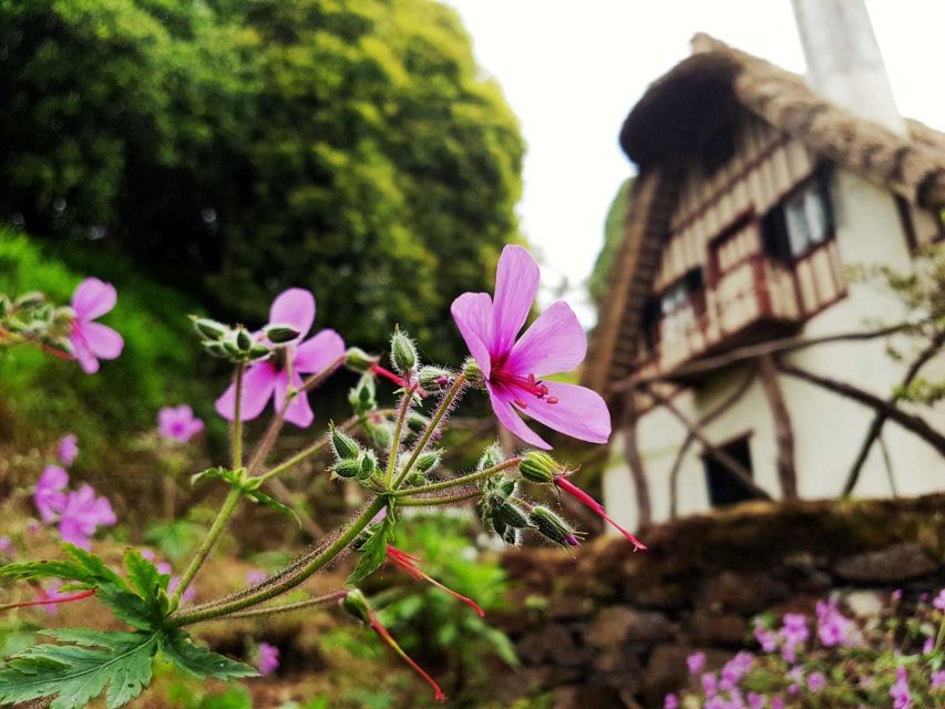 Madeira Island: Green Cauldron Levada Walk - Booking and Cancellation Policy