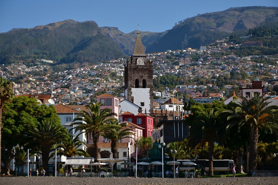 Madeira Island Highlights Private Guided Tour by Tuk-Tuk - Sights and Landmarks