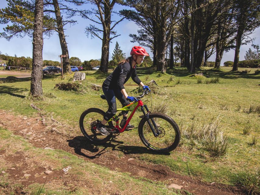 Madeira : Mountain Bike Trail Experience - Itinerary Details