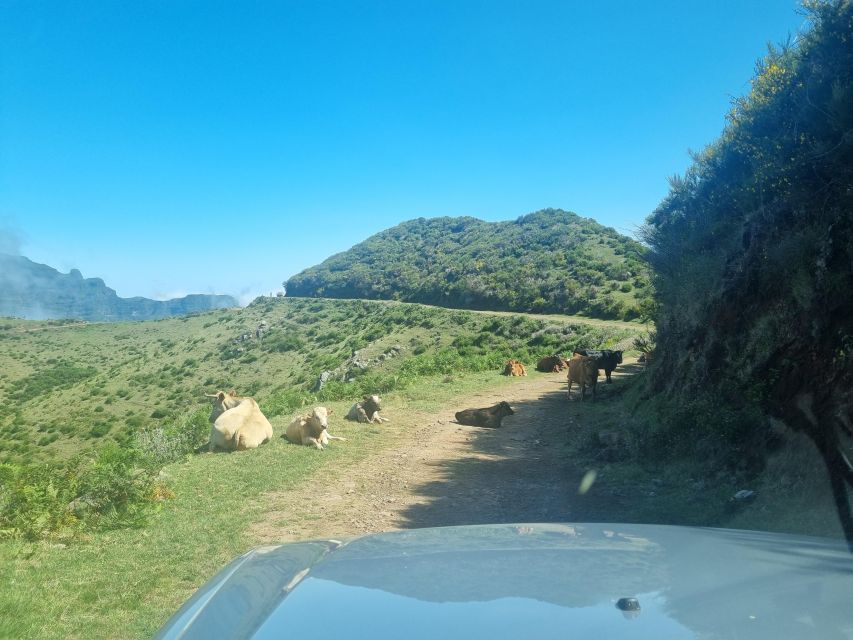 Madeira: Picturesque Peaks and Skywalk Private 4x4 Jeep Tour - Admire Nuns Valley Views