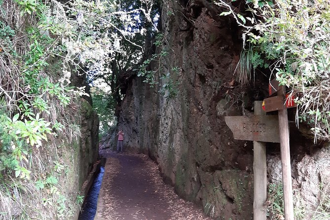 Madeira: Private 1.5-Kilometer Levada Dos Balcões Hike PR11 - Transport and Wi-Fi