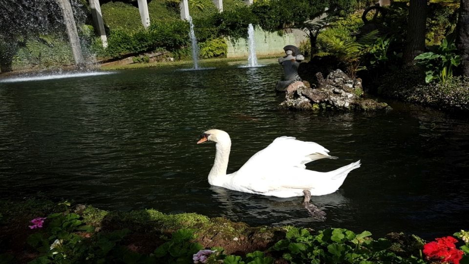 Madeira: Private Half-Day Guided Gardens Tour - Monte Palace Tropical Garden