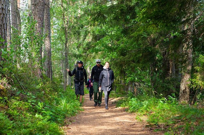 Magical Taiga Forest Hike With Lunch and Transportation - Meeting Point and Pickup