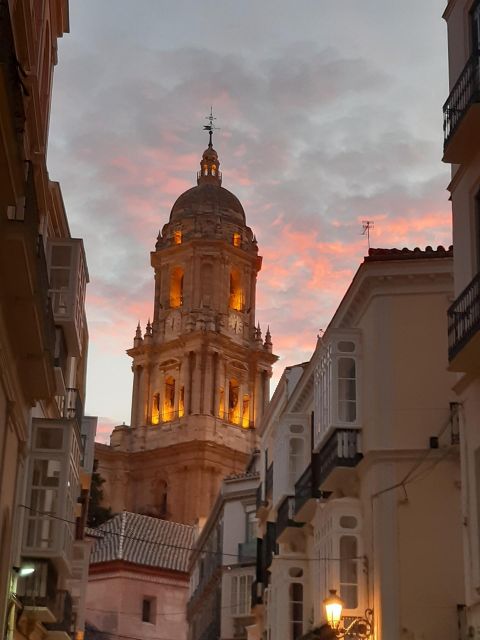 Malaga - Private Historic Walking Tour - Marveling at the Picasso Museum