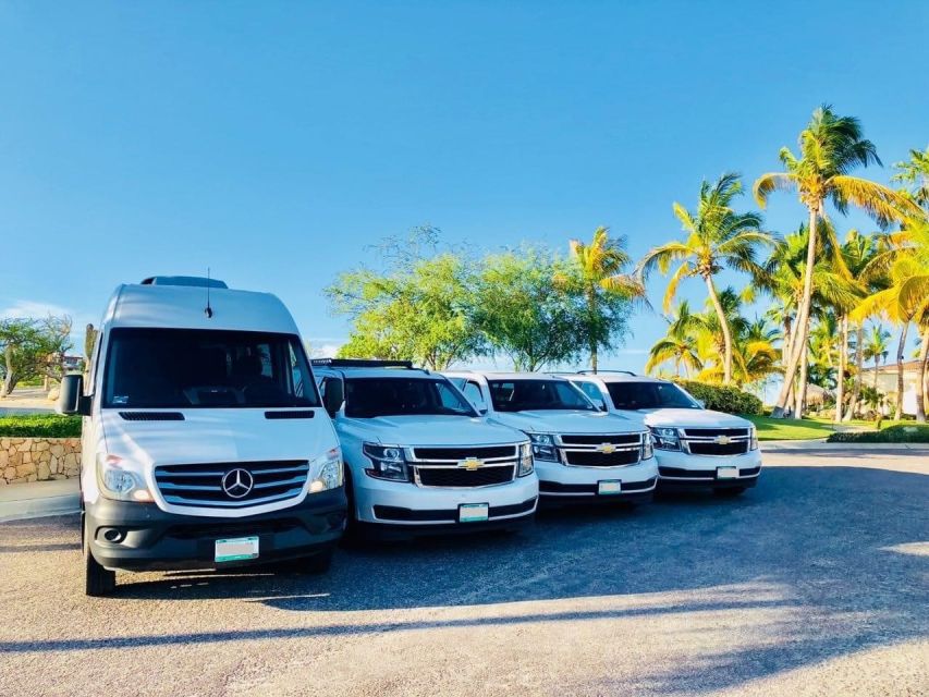 Mallorca Airport (PMI): Private Transfer to Palma Nova - Vehicle Amenities