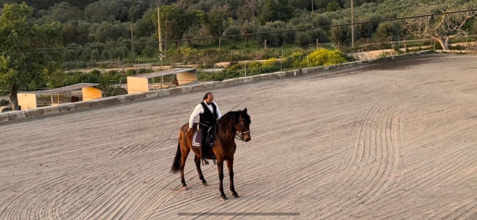 Mallorca: Mallorca`s Sunset & Spanish Riding School Show - Equestrian Exhibition of Spanish Riding School