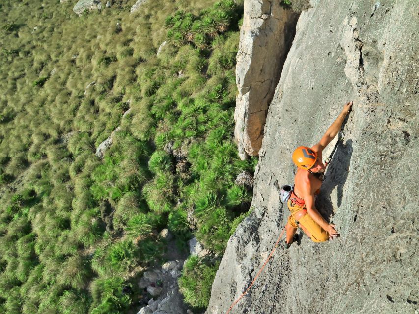 Mallorca: Sport Climbing Day or Course - Climbing Gear Included