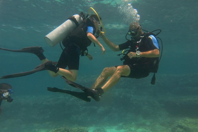 Mallorca: Try Scuba Diving in a Beautiful Nature Reserve - Whats Included in the Scuba Diving Activity