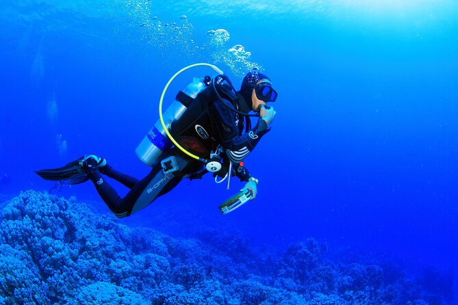 Marmaris Full Day Scuba Diving Two Dives With Lunch Hotel Pickup - Comprehensive Equipment and Instruction