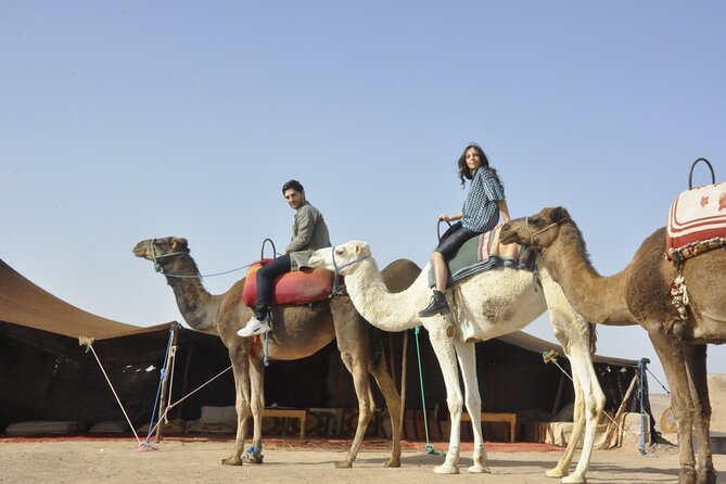 Marrakech: Camel Ride in the Palm Grove - Meeting and Pickup