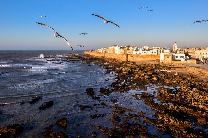 Marrakech to Essaouira / Small Group Day Tour to Essaouira - Medina of Essaouira