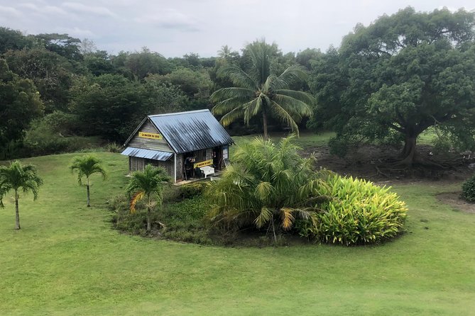 Martinique Shore Excursion - Authentic Tour of Southern Martinique - Learning Island History